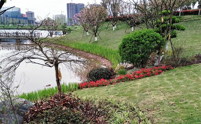 最愛蓮花湖畔行，風恬日暖蕩春光---何建民