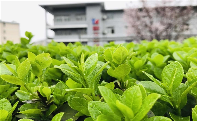 雨后礦山