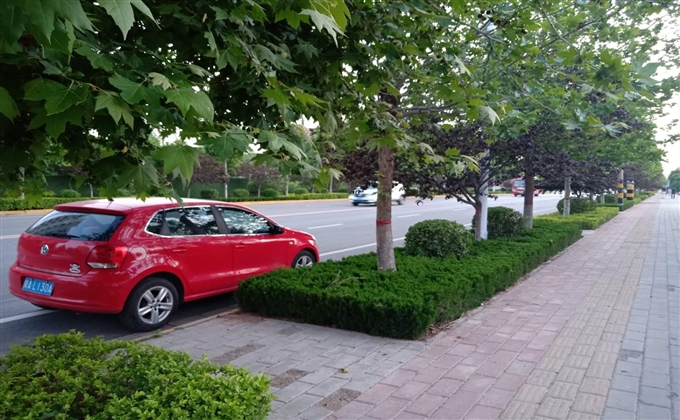 轎車路邊“小憩”