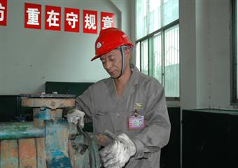 汪波：言行一致彰顯基層黨代表的責任與擔當