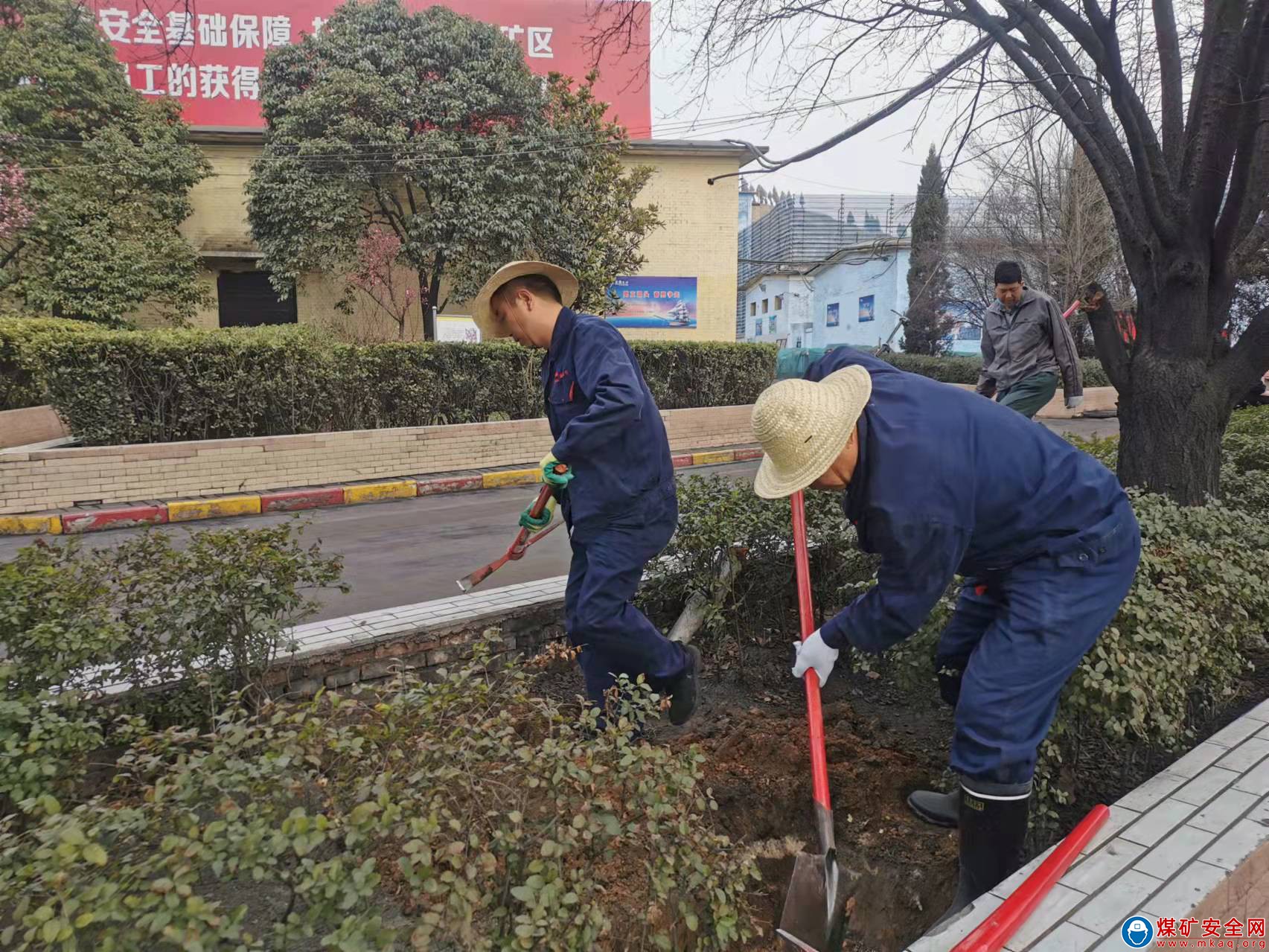 植一抹新綠，守礦區一片凈土
