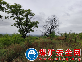 陜煤蒲白熱電公司：雷雨