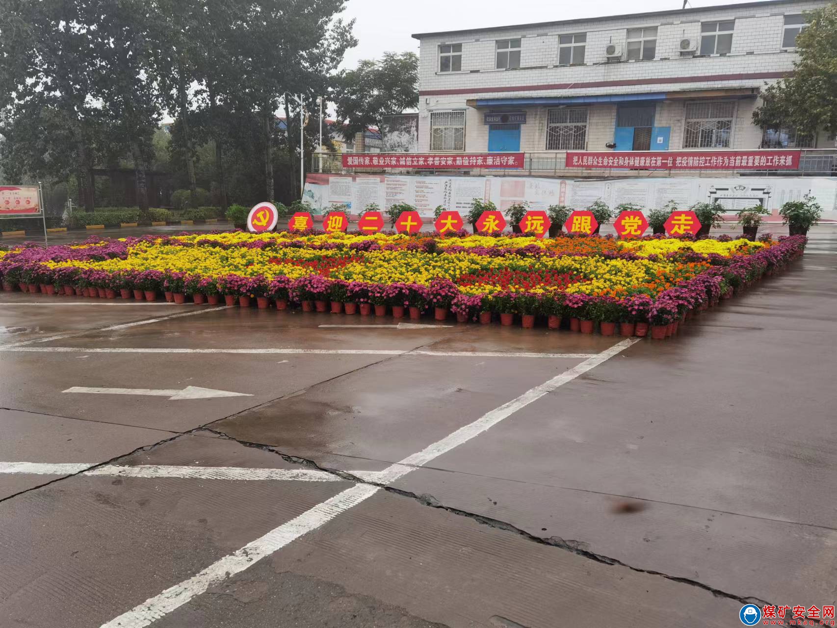 河南能源義煤公司石壕煤礦：繽紛花海迎國慶