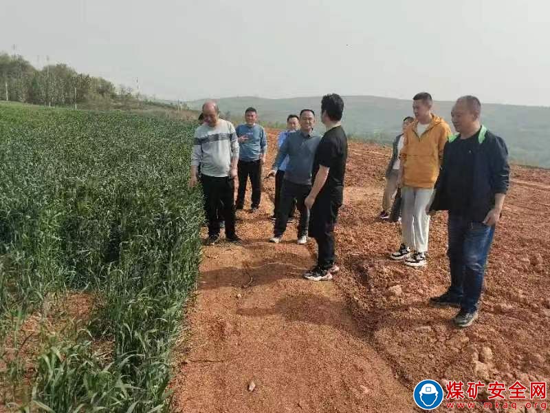 河南能源義煤集團石壕煤礦：環保檢查 時時在線