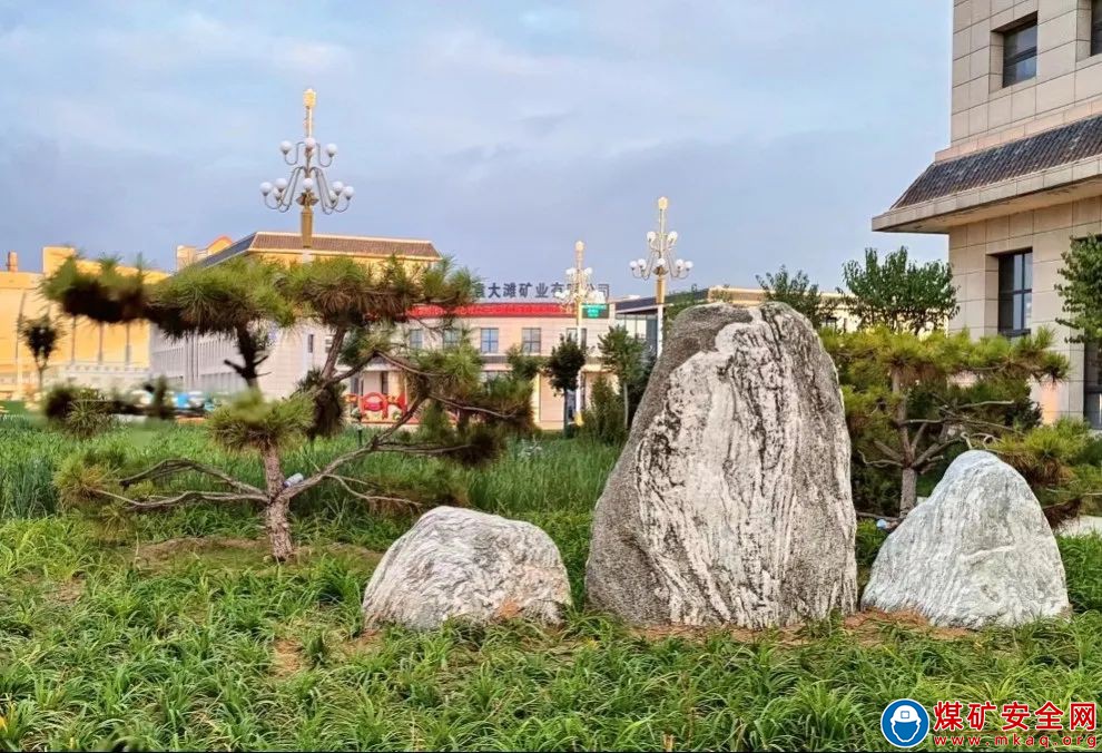 陜西中能煤田有限公司：秋意中能，傾國傾城